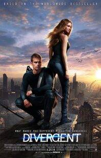 The Divergent Series